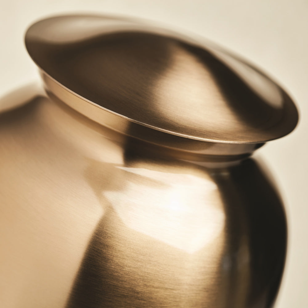 Classic Gloss - Hyatt Ewald