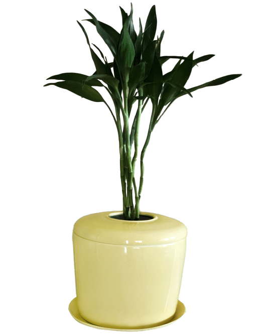 The Living Urn Indoors / Patio - A Better Place