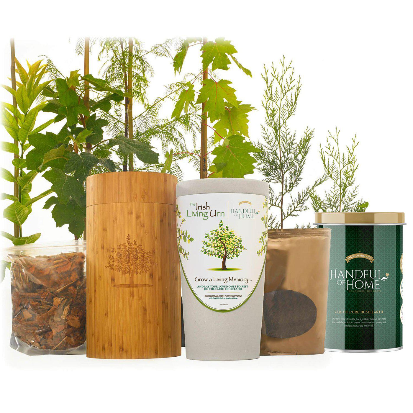 The Irish Living Urn - Monarch