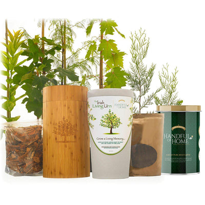 The Irish Living Urn - Belk