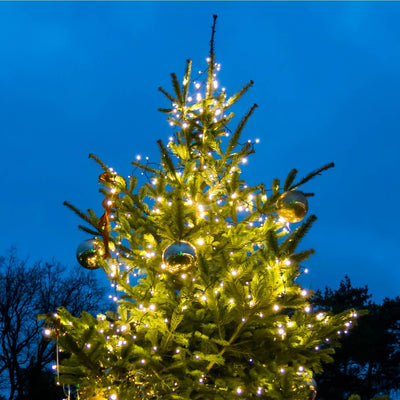 Christmas Tree - Be a Tree Cremation