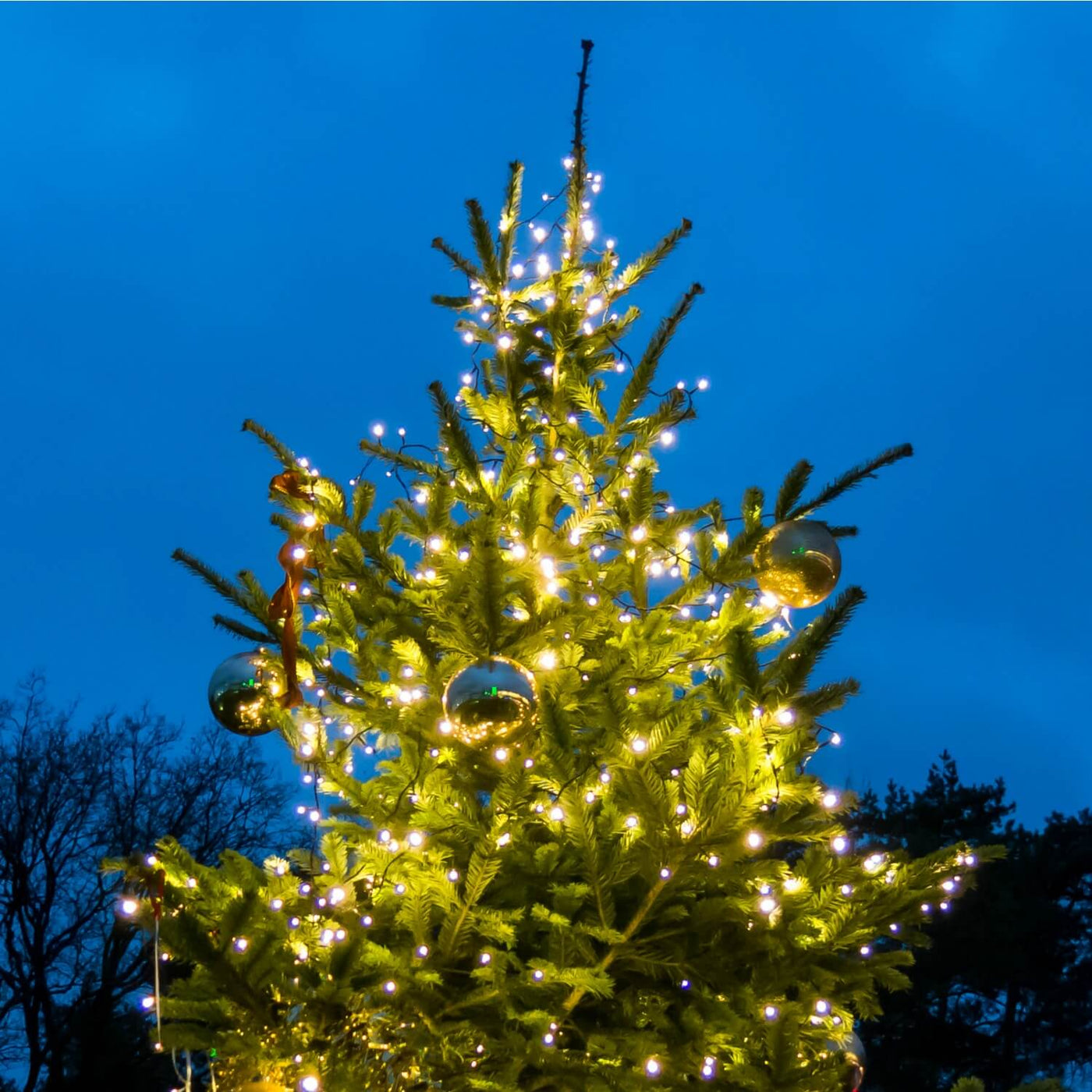 Christmas Tree - Heaven Bound